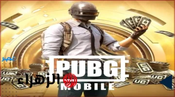 22,800 UC مجانية.. عرض شحن شدات ببجي موبايل 2025 الأقوى متاح الآن عبر Midasbuy